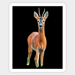 Roe Deer - Woodland Themed Kids Room, Funny Gifts For Forester, Cute Animals Sticker